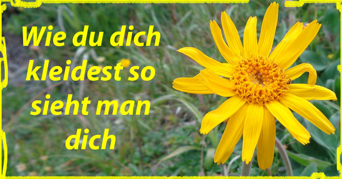 Bilder und Comics